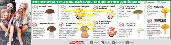 apvp Алзамай