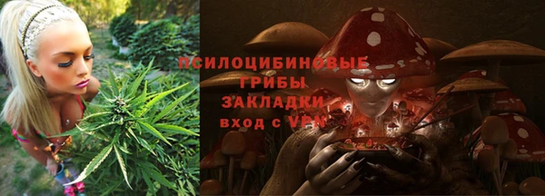apvp Алзамай