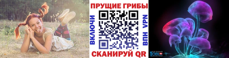 Псилоцибиновые грибы Psilocybine cubensis Северская